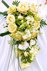 新娘手中的白玫瑰花束图片