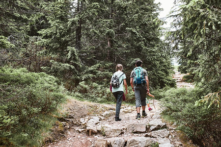 爱好家庭背包在山上徒步旅行积极度过暑假一起走在森林道路上交谈和欣赏自然的山地风景家庭与背包在山上徒步积极地共度暑假家庭与背包在山图片