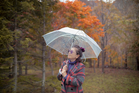 秋季森林中打伞的女性图片