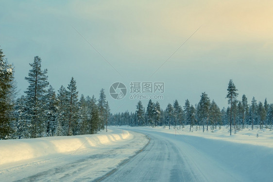 爬坡道木头自然芬兰冬季北部稀有森林和许多空雪清高速公路边上漂浮着微弱的阳光透过荒漠的北方森林无冬道图片