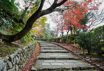 假期在日本京山的青秋色叶子京都日美草树和林山庙前的台阶日本京都花的树木图片
