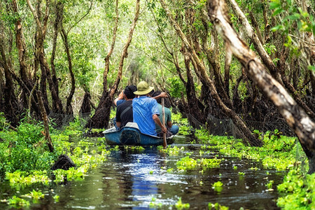 观光者游览Su森林中的传统船湄公河三角洲旅行vietnam生活特拉旅游图片