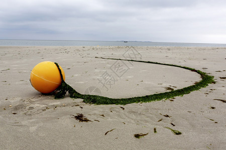 黄标记浮有尾绳的黄志浮覆盖在绿色海草中以低角度视沿着海滩沙上的曲线向下行走安全危险夏天图片