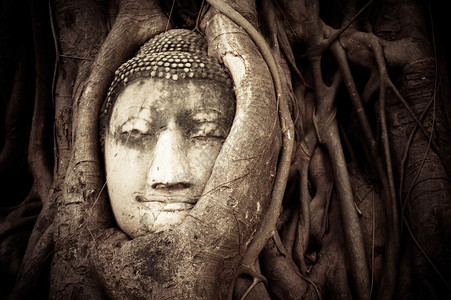 佛教古老的沙石雕塑在泰国的马哈特阿尤塔亚WatMahathatAyutthaya佛优质的图片