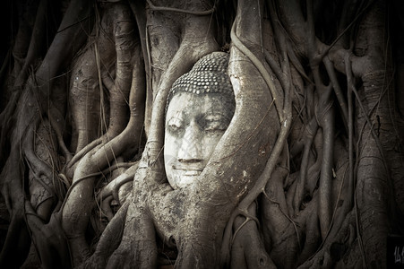 地点亚洲古老的沙石雕塑在泰国的马哈特阿尤塔亚WatMahathatAyutthaya象征图片