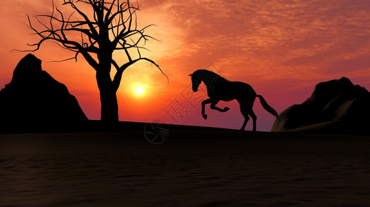 骑术土地树枝沙漠中日落下奔跑的马插图沙漠中日落下奔跑的马图片