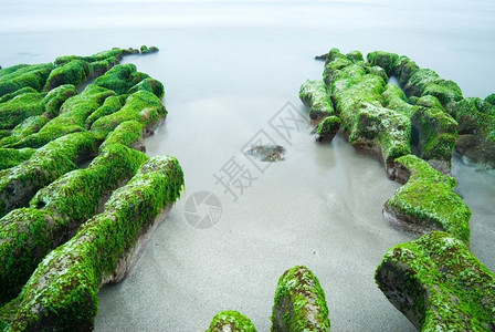 长时期接触绿海草的落岩礁东亚旅行海岸线假期图片