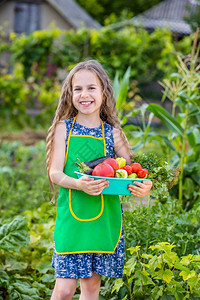 家庭可爱的健康农场里孩子和蔬菜选择焦点农场里孩子和蔬菜图片