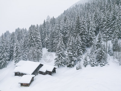 冬季雪山森林风光图片