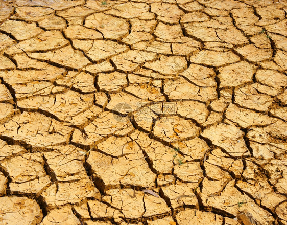 农场灾难海在干旱的土地上令人惊叹的干旱和裂开地上气候变化使农业种植园不得减少夏天非常热气候变暖是全球问题由温室效应造成干草图片