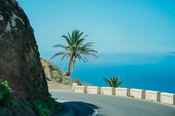 夏天海岸美丽的山路悬崖边上挂着一棵棕榈树西班牙特内里费岛Anaga乡村公园山的背景路上海洋美丽山路AnagaRural背景路上的图片