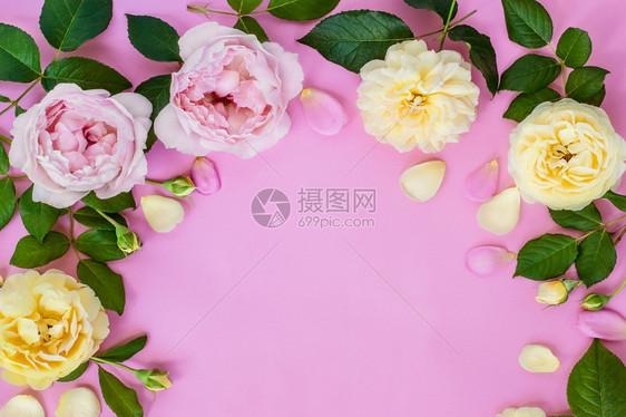 婚礼粉红色背景上的和白牡丹盛开时尚图片