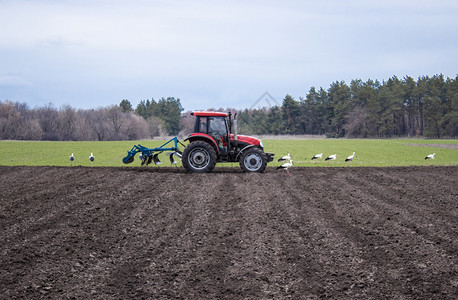 犁过拖拉机处理土地农民准备播种的土地农业机械化拖拉处理土地农民准备播种的土地胡茬灰尘图片