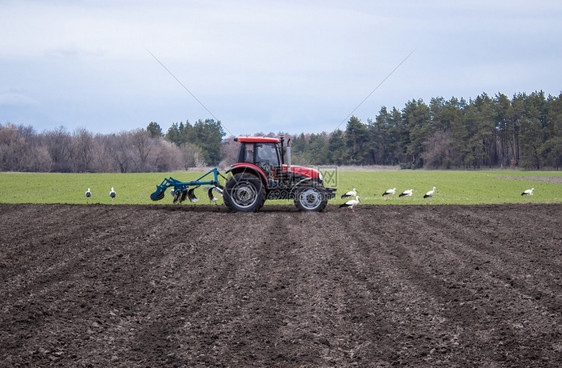 犁过拖拉机处理土地农民准备播种的土地农业机械化拖拉处理土地农民准备播种的土地胡茬灰尘图片
