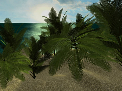海岸异国情调浪白天热带滩有棕榈树图片