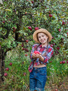 苹果园里的小女孩开心笑图片