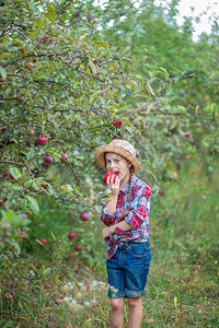 果园里吃苹果的小女孩图片
