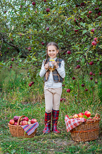 果园里收获满筐苹果的小女孩图片