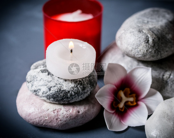 岩石浴室由头鲜花和燃烧的蜡烛和石块组成的斯帕Spa植物图片