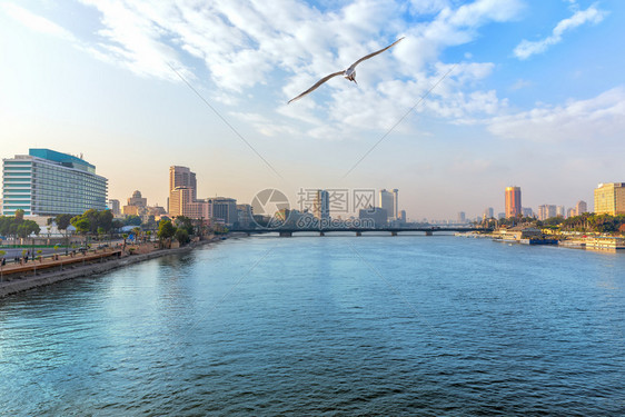 水摩天大楼埃及开罗市中心的尼河景观埃及开罗市中心的尼河景观手掌图片