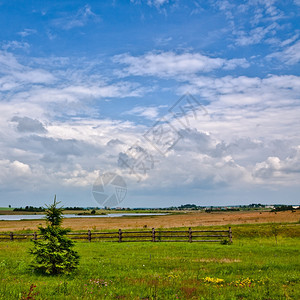 农业草原阳光明媚的夏日自然农村景观出图片