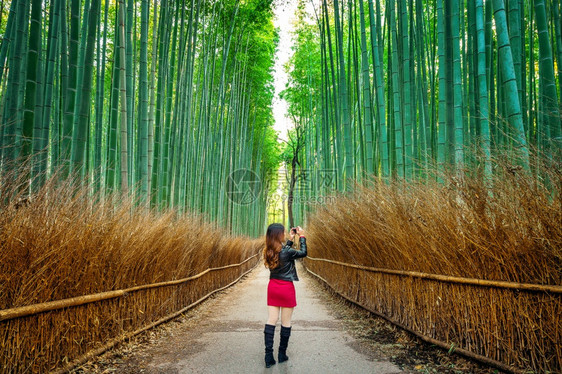 日本京都竹林拍摄照片的女孩图片
