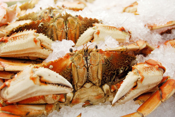 食物烤混合的海鲜加龙虾平静鱼蓝面圈和大虾包含酱图片