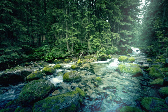蓝色的黑路暗森林自然概念中的河水图片