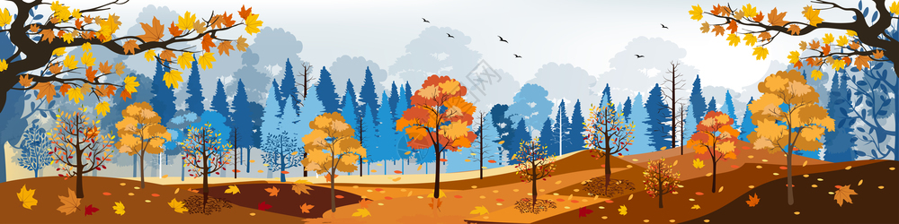 矢量树木向量太阳美丽的秋天林地景观全美阳光明媚风照亮矢量图示秋天地貌山脉和树上落下的木叶自然背景森林背景