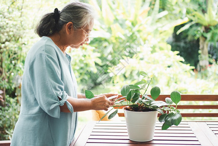 水成熟积极的一位快乐和微笑的亚洲老年妇女在退休后家里安放业余爱好为老年人创造幸福生活方式和良好健康的概念对年长者来说图片