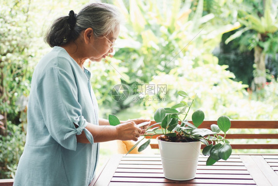 水成熟积极的一位快乐和微笑的亚洲老年妇女在退休后家里安放业余爱好为老年人创造幸福生活方式和良好健康的概念对年长者来说图片