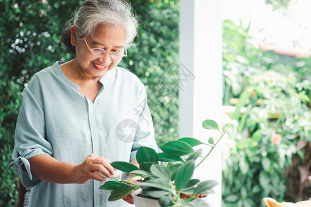水一位快乐和微笑的亚洲老年妇女在退休后家里安放业余爱好为老年人创造幸福生活方式和良好健康的概念对年长者来说活动关心图片