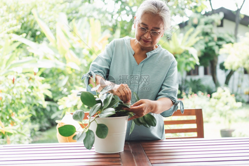 一位快乐和微笑的亚洲老年妇女在退休后家里安放业余爱好为老年人创造幸福生活方式和良好健康的概念对年长者来说夏天成熟春图片