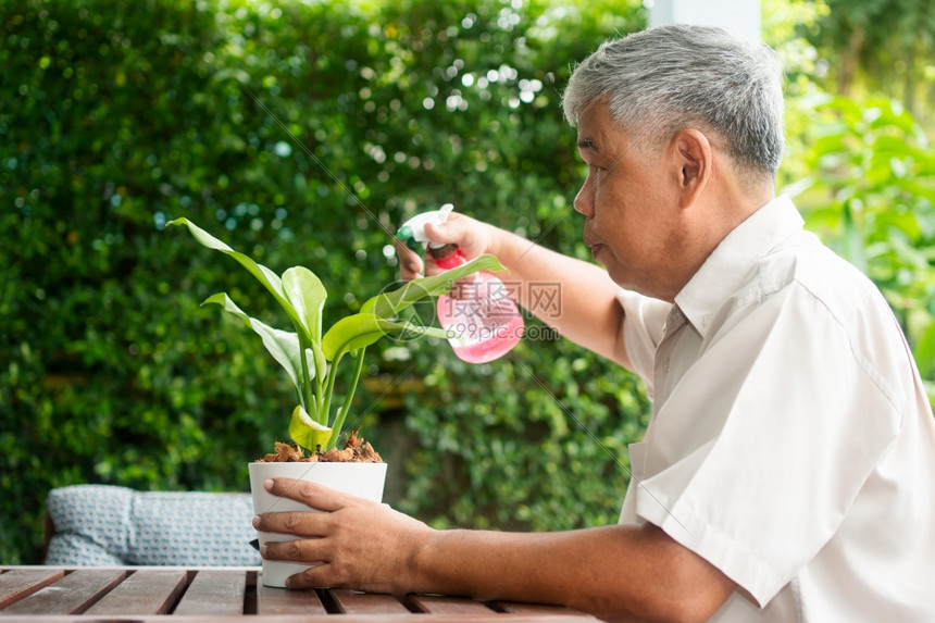 一个快乐和微笑的亚洲老年人在退休后家安放业余爱好老年人幸福生活方式和良好健康的概念长者过好生活家庭动园林绿化图片