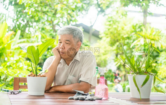 成熟亚洲人一个快乐和微笑的亚洲老年人在退休后家安放业余爱好老年人幸福生活方式和良好健康的概念长者过好生活快乐的图片