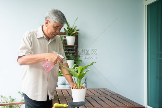 水成熟院子一个快乐和微笑的亚洲老年人在退休后家安放业余爱好老年人幸福生活方式和良好健康的概念长者过好生活图片