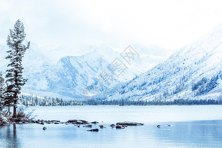 超过冷若冰霜云冬季山区湖在阿尔泰山脉的冰霜天气海岸上有雪覆盖的松树冬季湖上有雾河许多雪覆盖的树木三图片