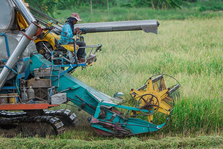 食物生产泰国曼谷2017年4月9日泰国曼谷附近稻田收割成熟米的混合机器农村图片
