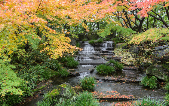 日本瀑布花园秋日落叶图片
