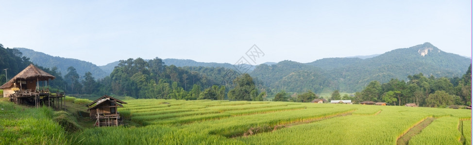 谷物领域农场山上的全景稻田山间农的房子和地图片