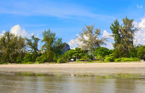 泻湖美丽的森林泰国安达曼海滨AoNang海滩图片