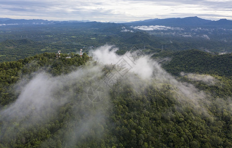 云雾笼罩的森林背景图片