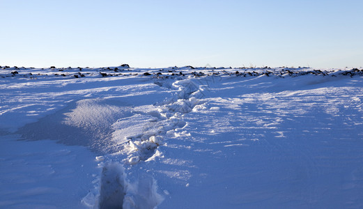 地点天时间冬季照片光照PhotoWitnative图片