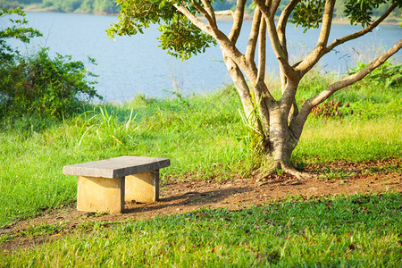 景观公园树下草坪上的A长凳在公园树下小路一种图片