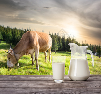 乳制品奶牛和山地牧场背景的果汁和牛奶杯夏季风景奶牛和山羊背景的天然健康食品果汁和牛奶杯的概念以牛和山羊为背景茶点干净的图片