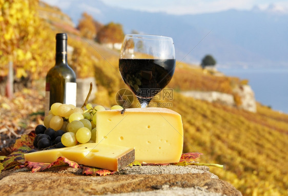 饮料柴金瑞士Lavaux地区葡萄园露台的红酒奶酪和藤蔓图片