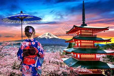 春天的樱花开亚洲妇女穿着日本传统和服在日本秋里托塔寺和藤山日落肖像东京寺庙图片