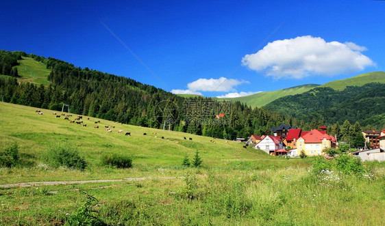翠谷风景优美喀尔巴阡山脉乌克兰地景观千米图片