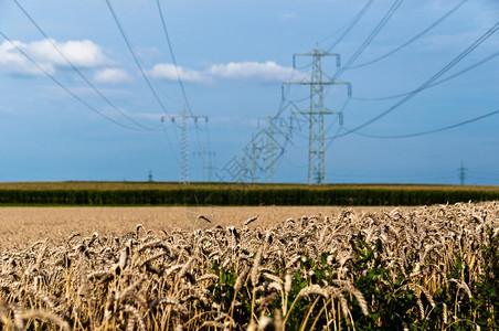 蓝色的网格玉米和干草田有电线杆被安置在乡村的图片