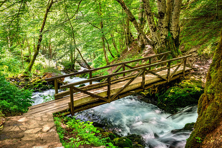 绿色黑山林木桥森内河级联上小型木桥溪流自然图片